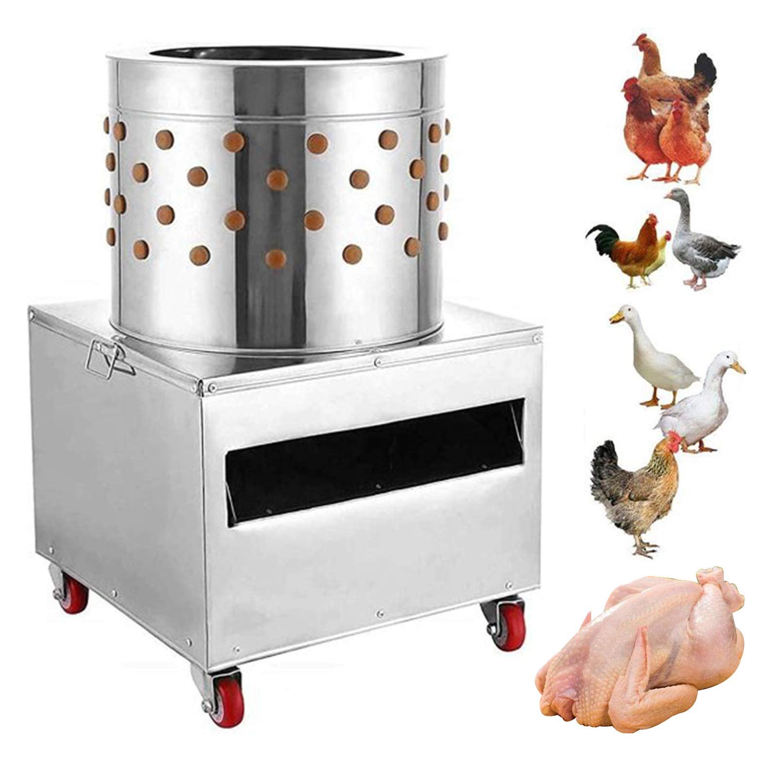 đá gà trực tiếp m8winwin,Đá gà trực tiếp M8win: Thứ hai, Một Kinh nghiệm Độc Đáo đá gà trực tiếp m8winwin,Đá gà trực tiếp M8win: Thứ hai, Một Kinh nghiệm Độc Đáo