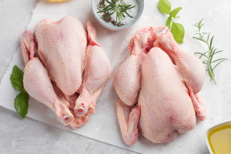 đá gà thuận thảo đá gà thuận thảo