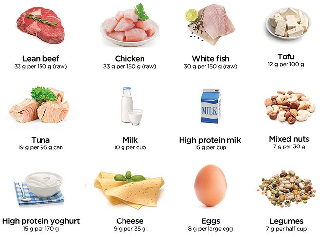 gà đá hay nhất miền nam gà đá hay nhất miền nam
