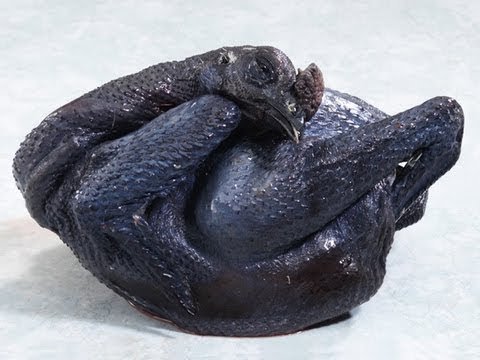 anh con gai đi đá gà anh con gai đi đá gà