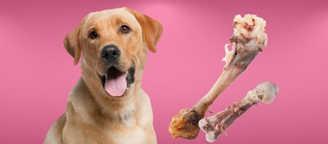 thuốc gà đá b15,Thuốc Gà Đá B15: Công Dụng, Tác Dụng và Lưu Ý Khi Sử Dụng thuốc gà đá b15,Thuốc Gà Đá B15: Công Dụng, Tác Dụng và Lưu Ý Khi Sử Dụng