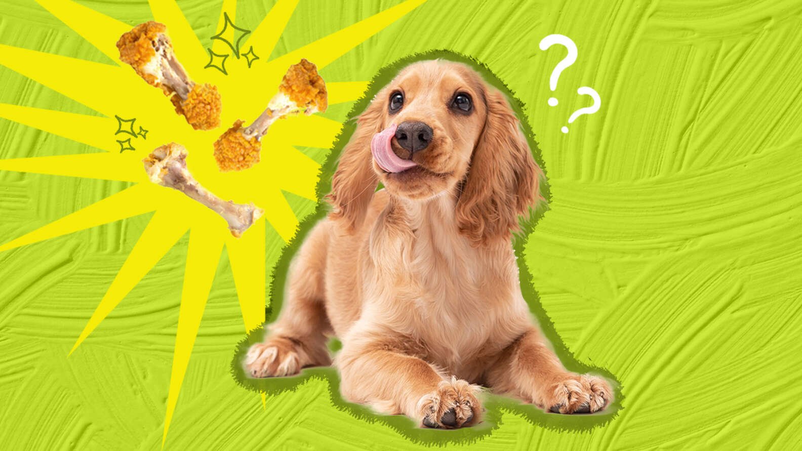 đá gà trực tiếp hôm nay thomo,Đá gà trực tiếp hôm nay Thomo: Thứ hai, Những Cơ Hội Đáng Chờ Đợi đá gà trực tiếp hôm nay thomo,Đá gà trực tiếp hôm nay Thomo: Thứ hai, Những Cơ Hội Đáng Chờ Đợi