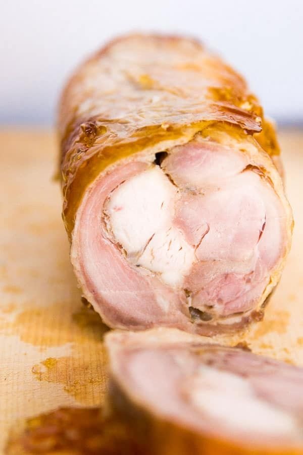 đá gà thomo bairdisd,Giới Thiệu Về Đá Gà Thomo Bairdisd